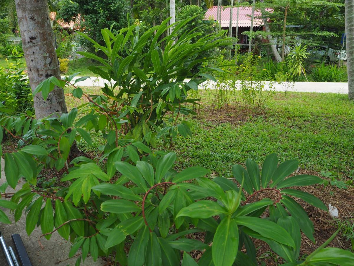 Pru Valley Thaley Tai Resort Ban Don Phlap Bagian luar foto