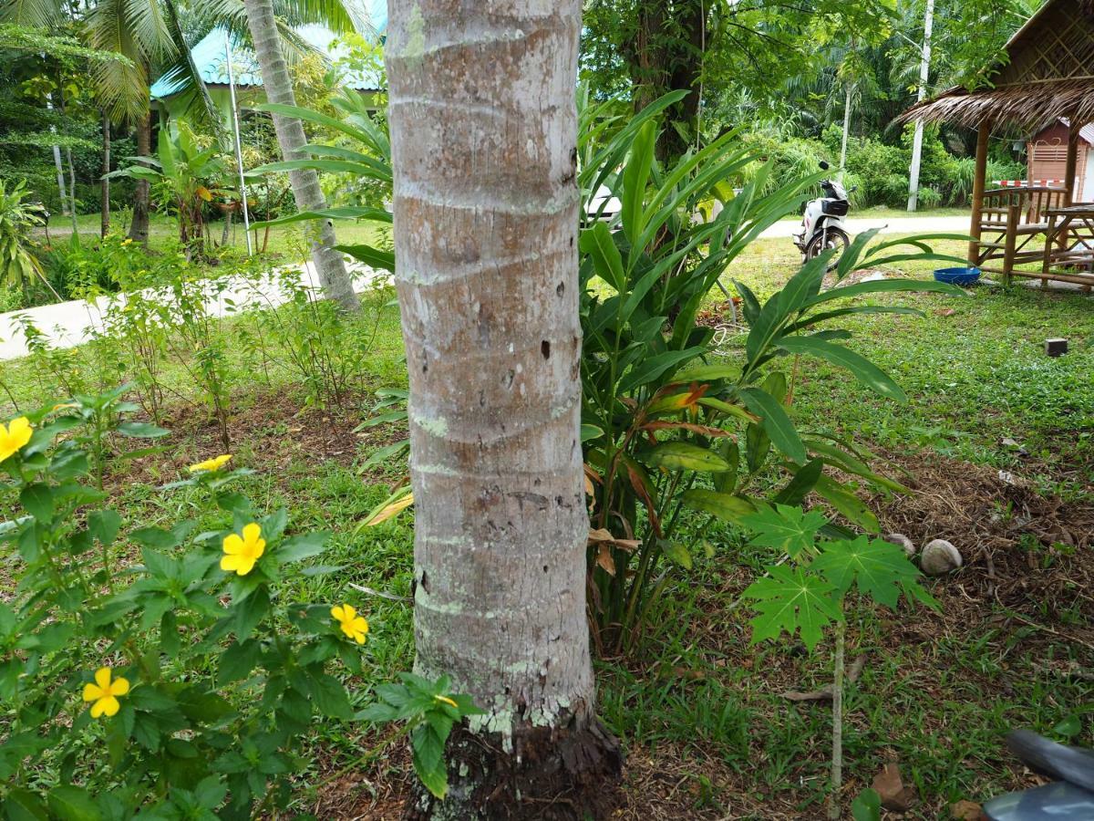 Pru Valley Thaley Tai Resort Ban Don Phlap Bagian luar foto